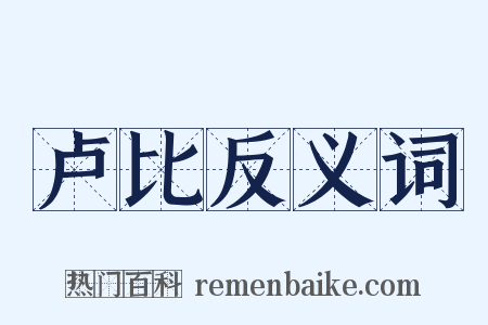 卢比反义词是什么意思的图片